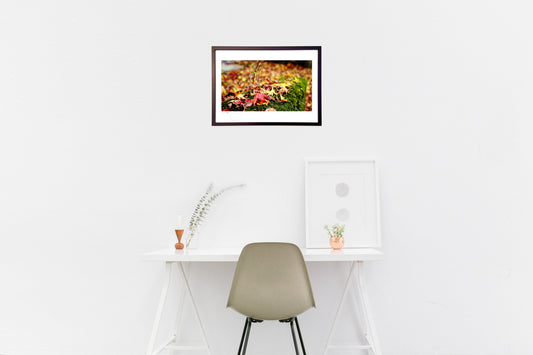 四季シリーズ【秋】