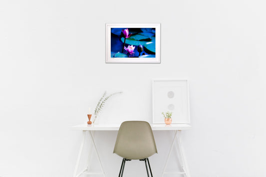 泥の池で咲く美しい花