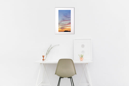 夕暮れのサラマンダー