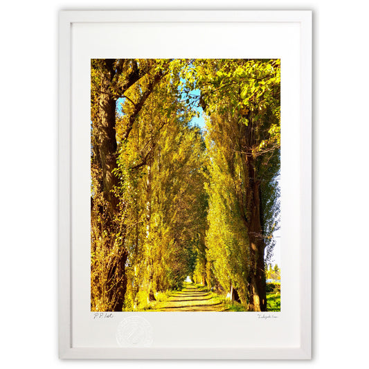 黄色いトンネル