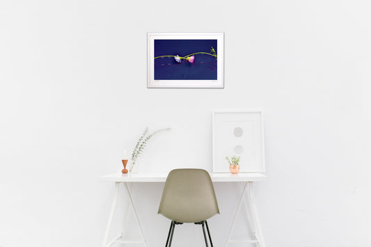 対称形の美しさ