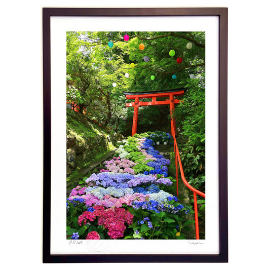 紫陽花・バルーンのアート