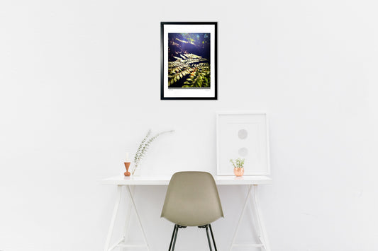 日差しを受けて