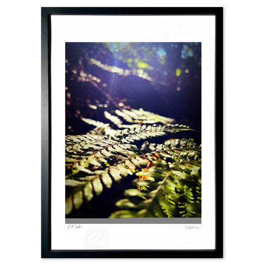 日差しを受けて