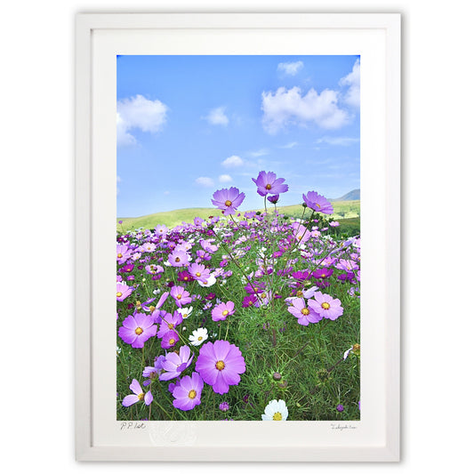 ハイジがヒョイと出てきそうな草原