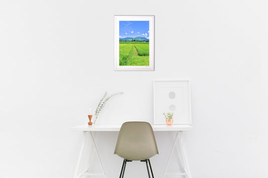 夏休みの想い出