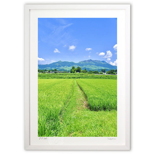 夏休みの想い出