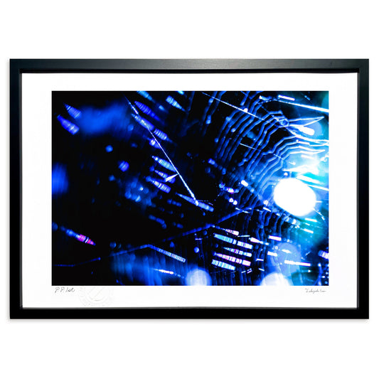 紫外線の色彩＆蜘蛛の糸