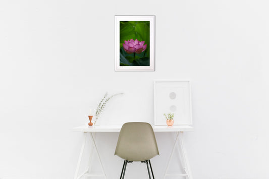 たたずむ蓮の花