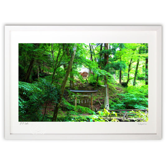 心　休まる緑に包まれ　神社