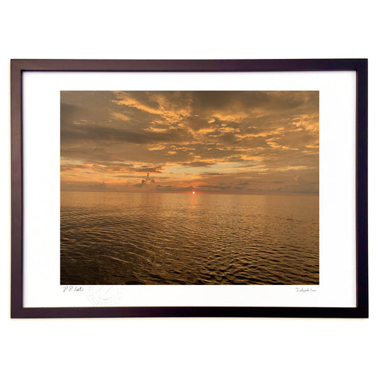 静かなオレンジ