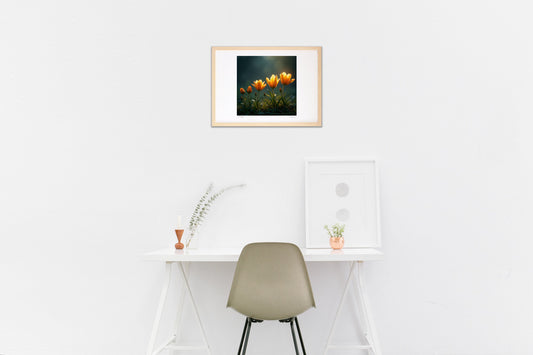 花の生命サイクル