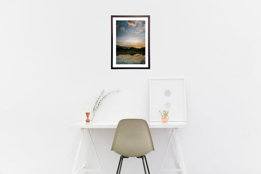 水田に映る夕焼け