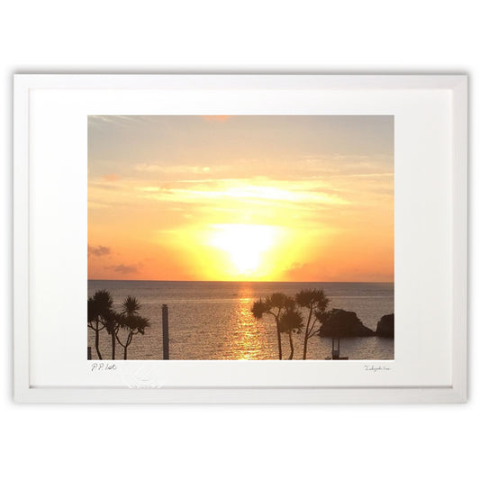 オレンジゴールドの幕