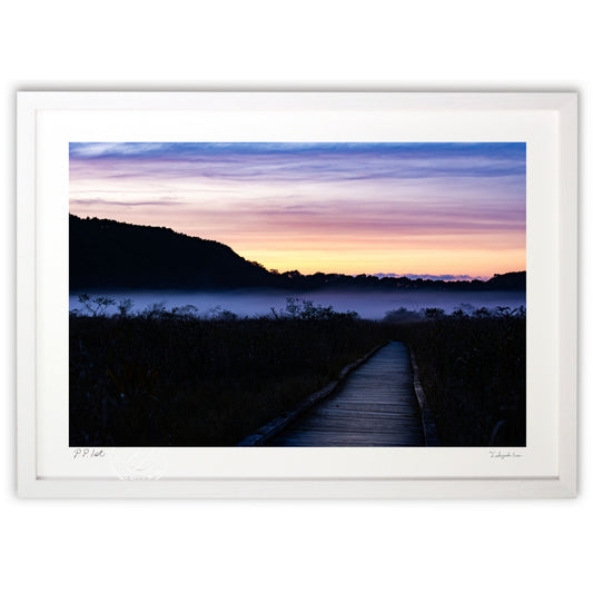 霧に覆われる夕闇の釧路湿原