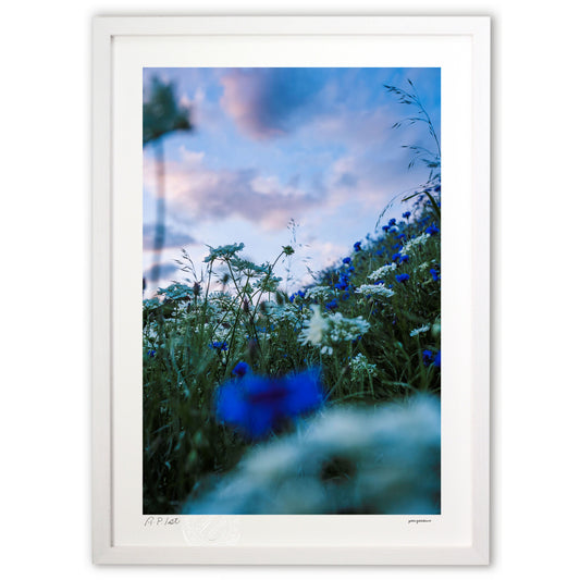 初夏の陰りと吹く風