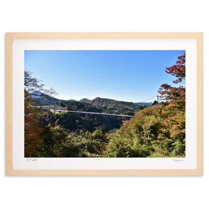 写真・紅葉と大吊橋