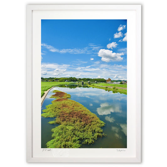 昼下がりの菊池川