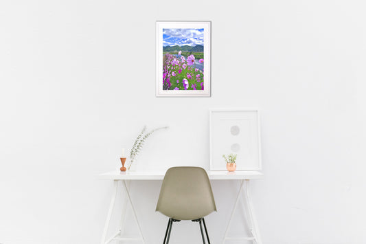 風にたなびくコスモス