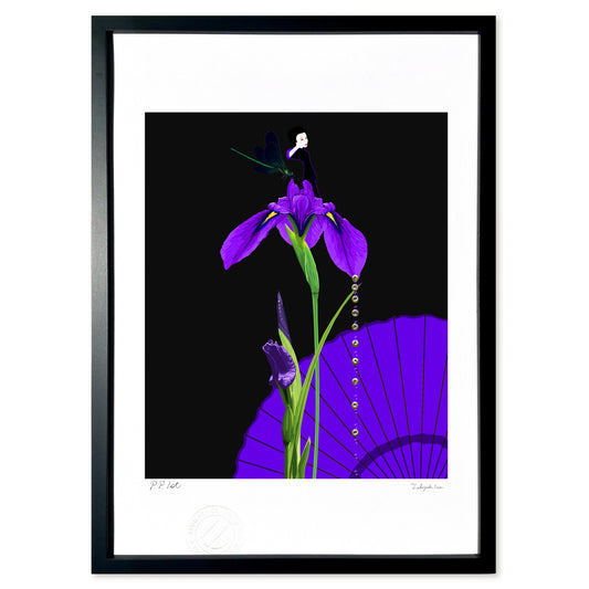 japanese iris