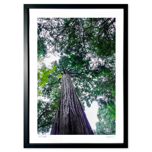 時を超えて現在