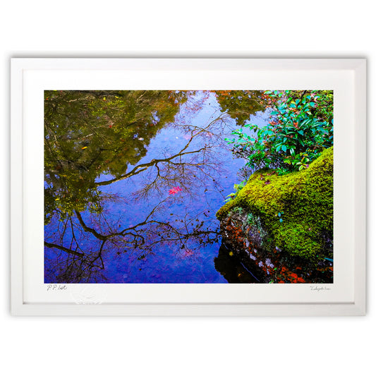 映し出された空と木に本物の紅葉