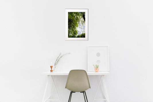 揺れる柳のカーテン