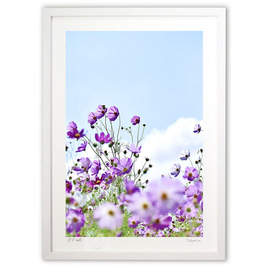 天高く馬肥ゆる秋