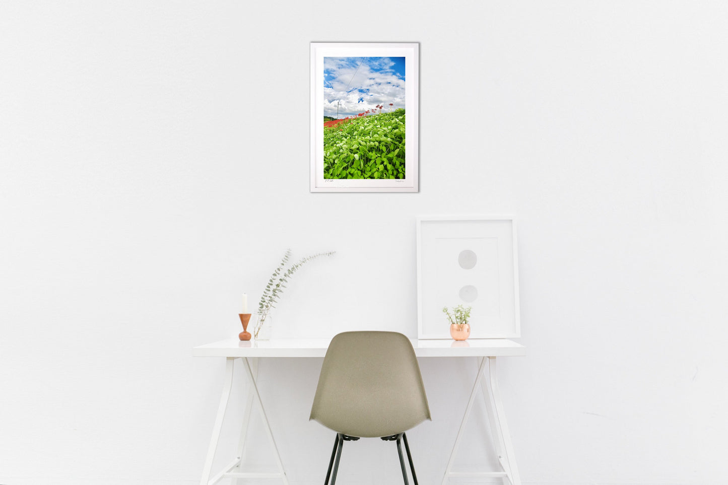 彼岸花が咲く河川敷