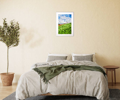 彼岸花が咲く河川敷