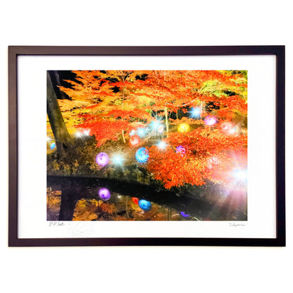 Japanese umbrella and autumn leaves