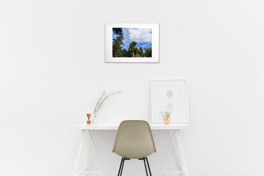 香取神宮の青空