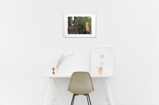 香取神宮御神木