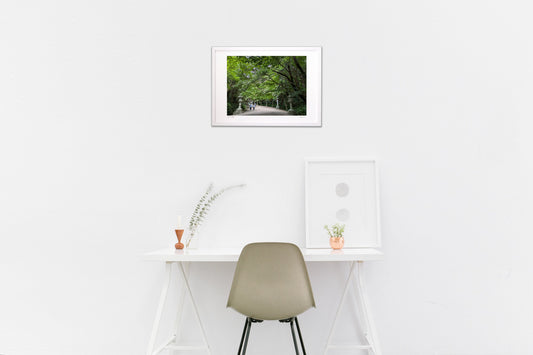 香取神宮表参道