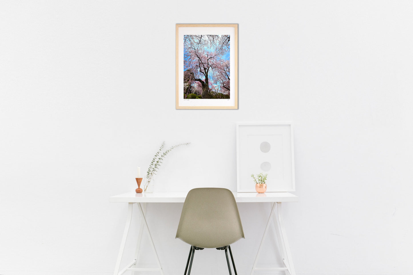 晴天の枝垂れ桜 東北の春便り