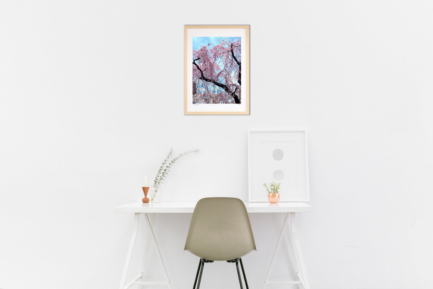 咲き誇る枝垂れ桜 水沢公園の春景