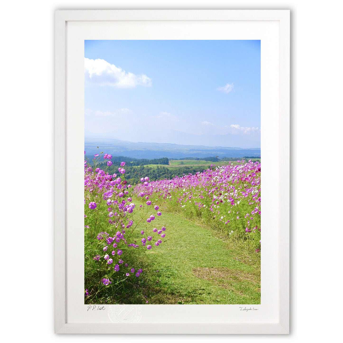 Cosmos Road