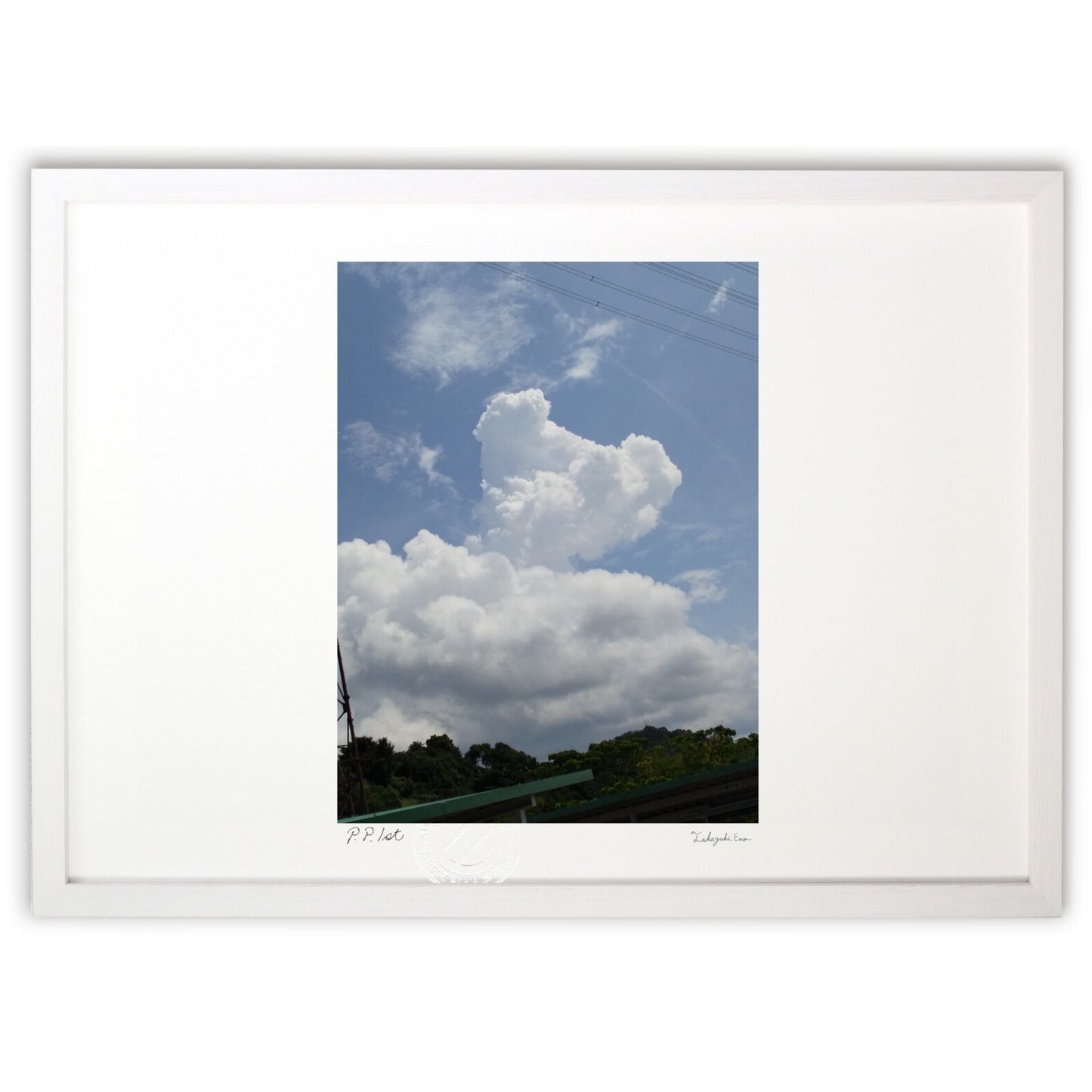 写真  コアラorベア  入道雲