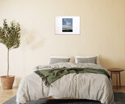 写真  コアラorベア  入道雲