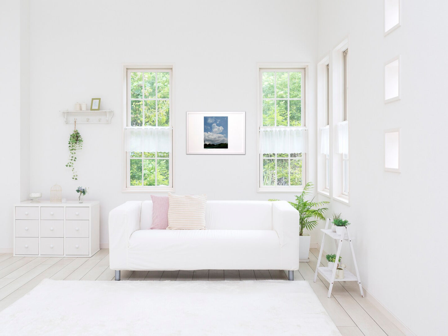 写真  コアラorベア  入道雲