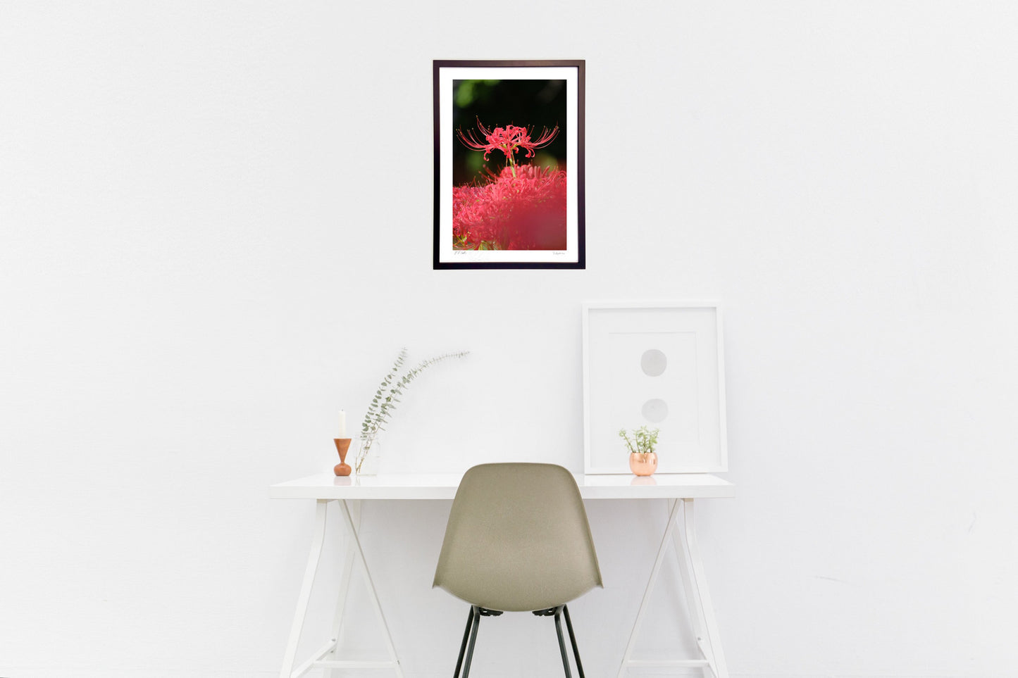 木漏れ日と彼岸花