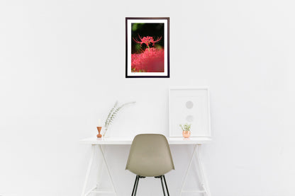 木漏れ日と彼岸花