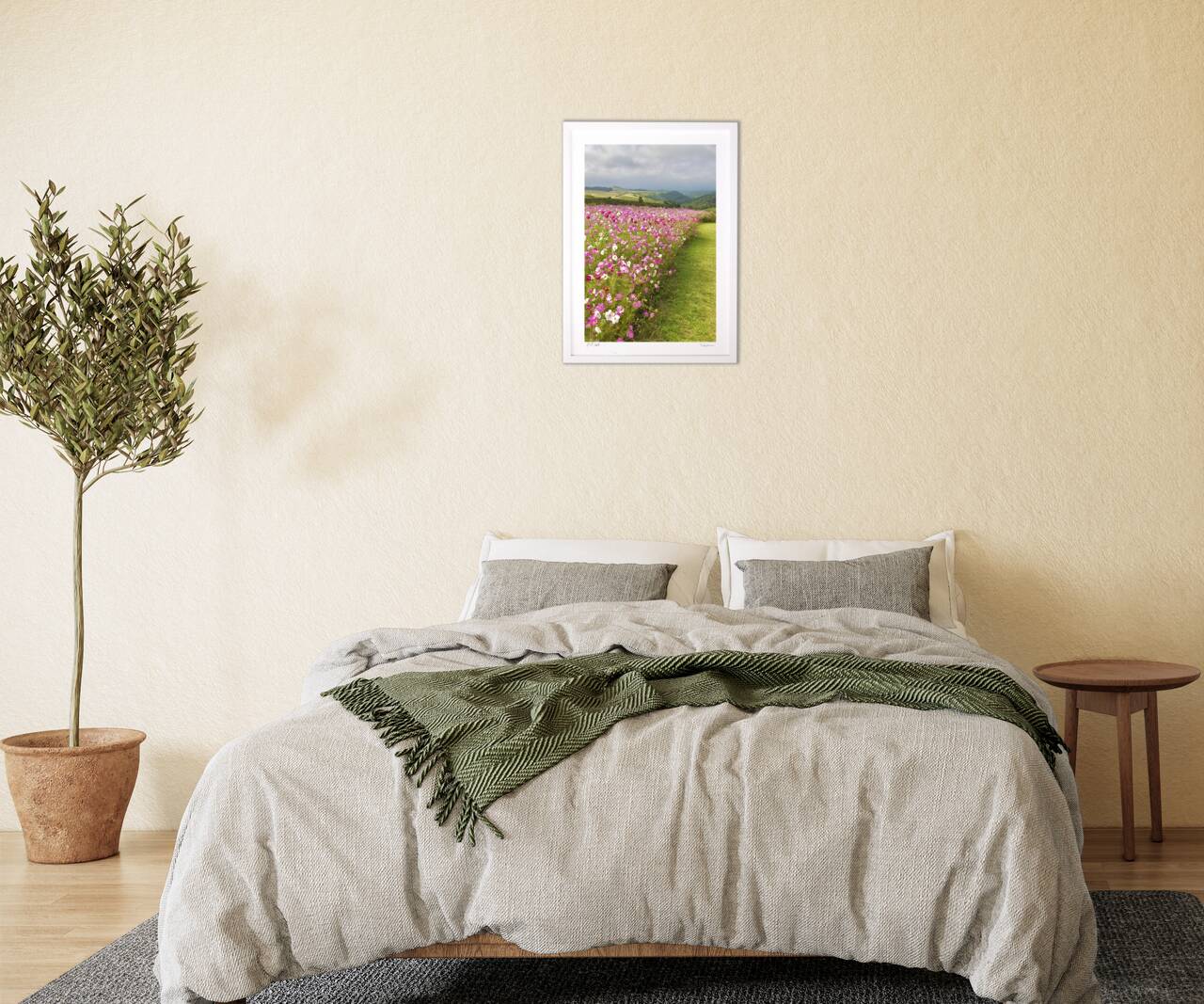 コスモス園