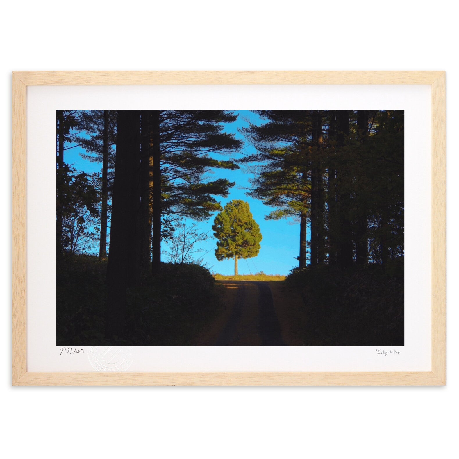 開拓の木 – 絵画や壁飾り販売｜風景投稿販売あゆわら(R)