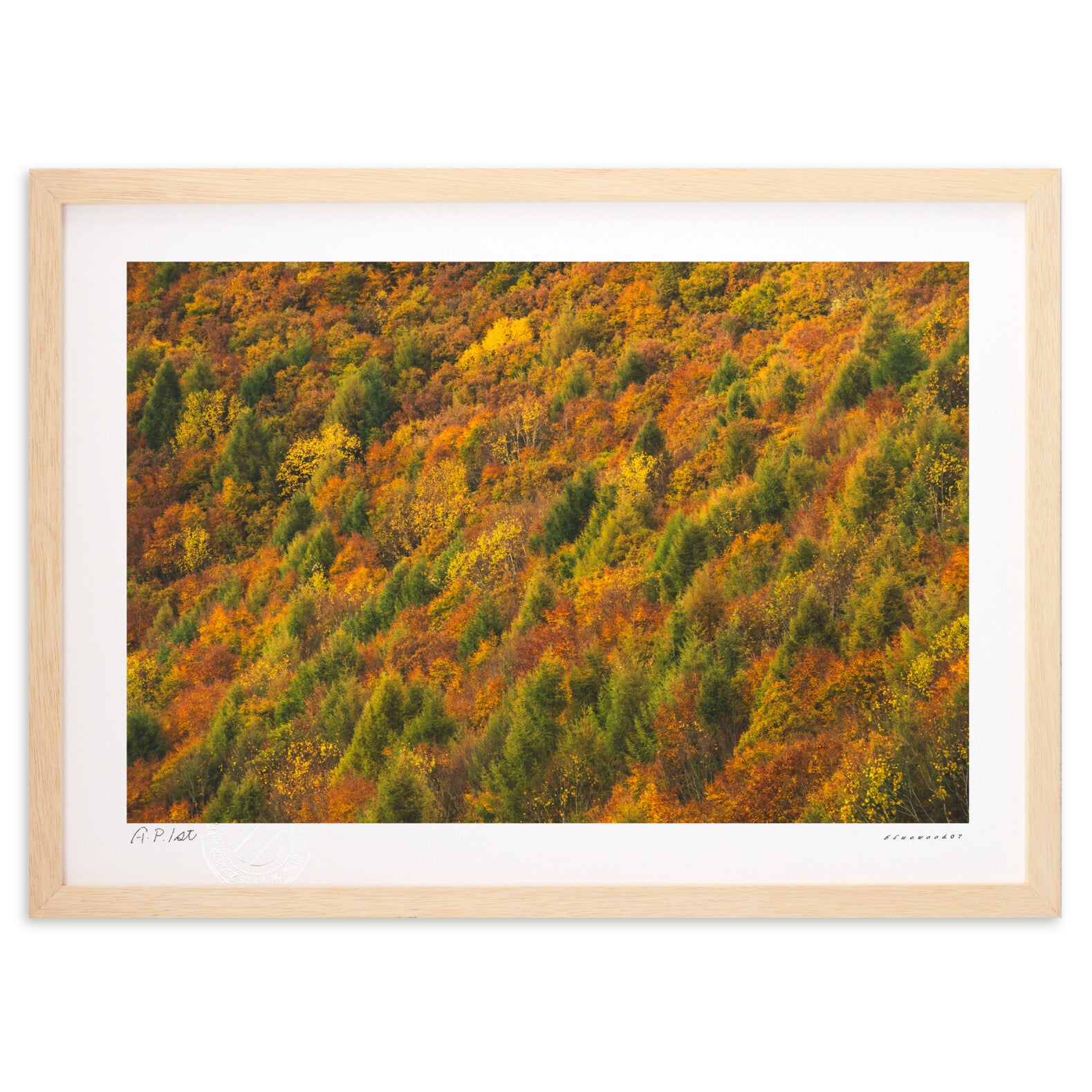秋山千紫万紅 – 絵画や壁飾り販売｜風景投稿販売あゆわら(R)