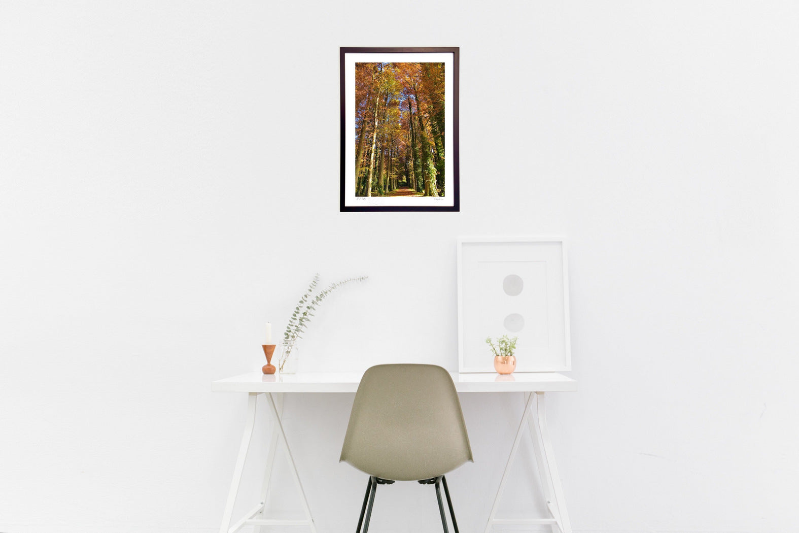 メタセコイアの並木 – 絵画や壁飾り販売｜風景投稿販売あゆわら(R)