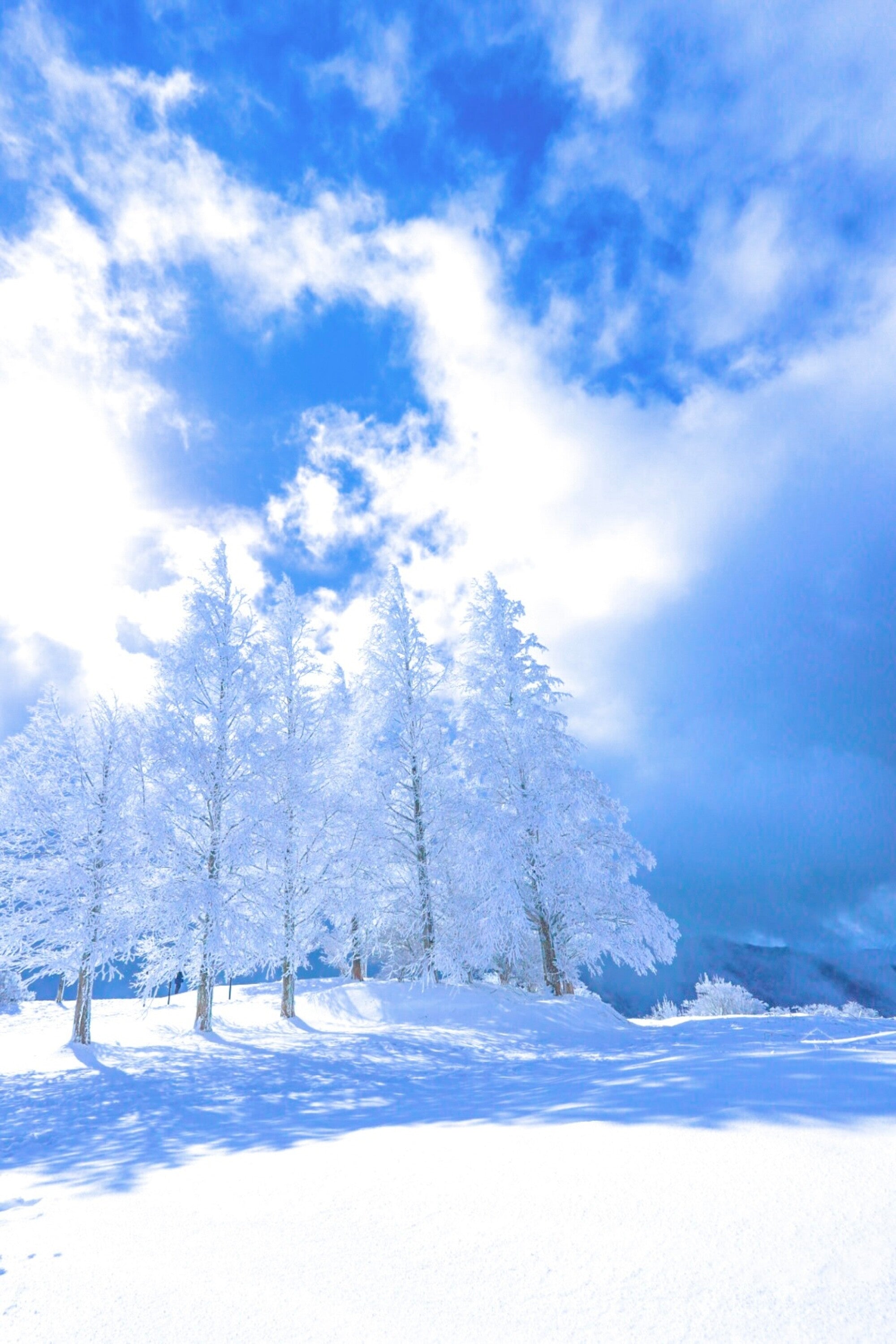 風水 大黒柱運・相続運・財運UP！雪山の樹氷 – 絵画や壁飾り販売｜風景