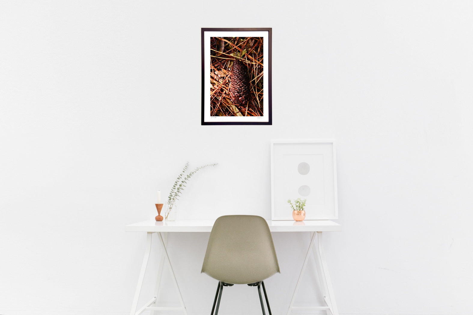 松ぼっくり – 絵画や壁飾り販売｜風景投稿販売あゆわら(R)