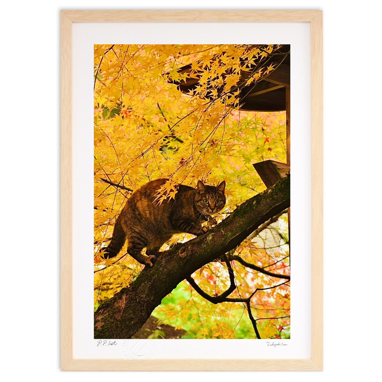 猫と紅葉 – 絵画や壁飾り販売｜風景投稿販売あゆわら(R)