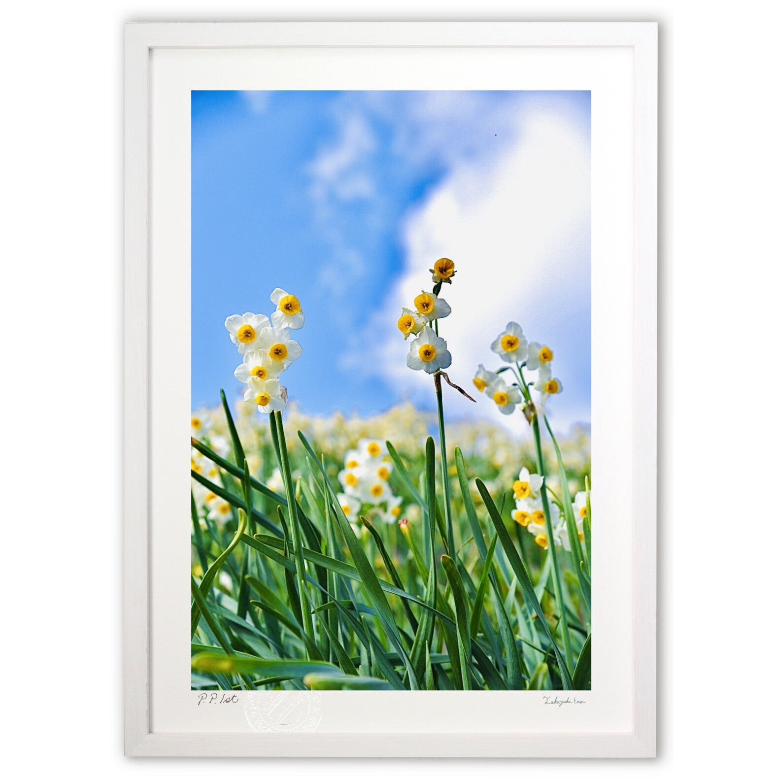 新春の空と水仙 – 絵画や壁飾り販売｜風景投稿販売あゆわら(R)